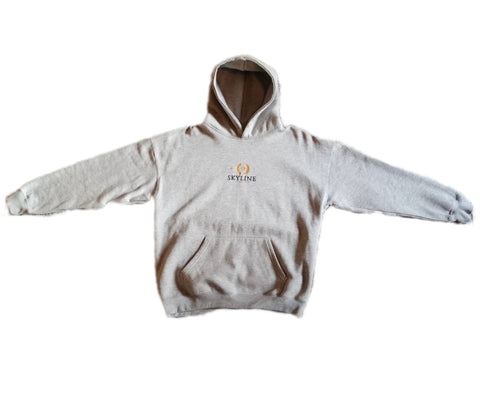 Alpha 2.0 Oversize Hoodie Grau